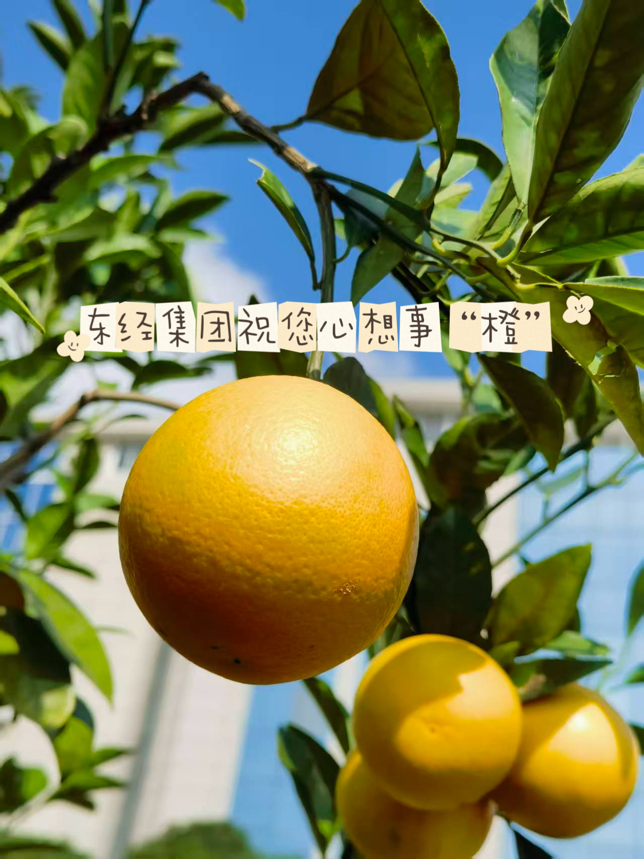 【东经集团】2026年元旦，致敬每一位奋斗者！